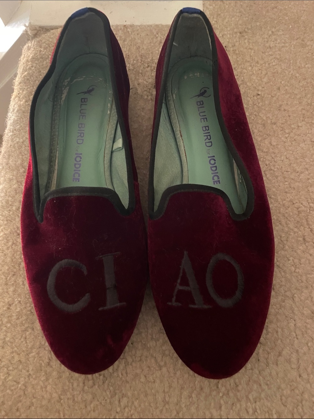 Blue bird Burgundy Velvet Loafers - "CIAO" Embroidered